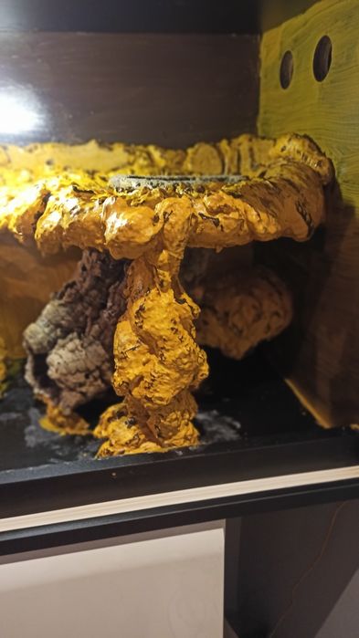 Terrarium duże, ładne plus gadzety