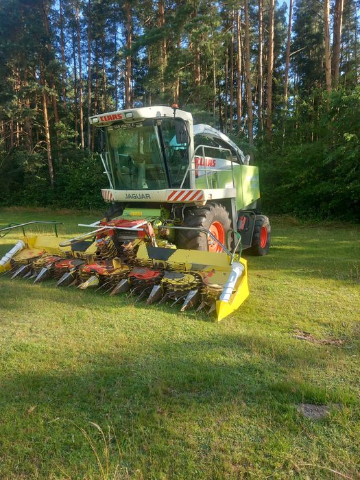 Claas Jaguar 900