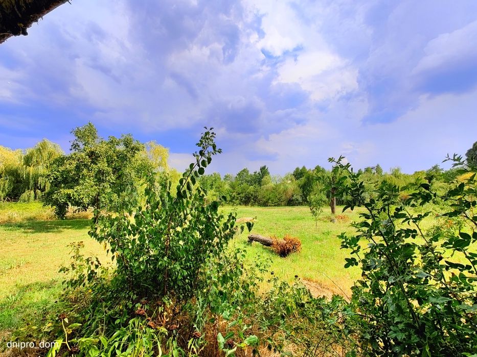 Продам турбазу с участком 4,6 га с берегом Самара Подгородное Sun Ray