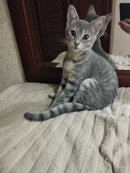 Очень весёлый малыш в поисках любящей семьи