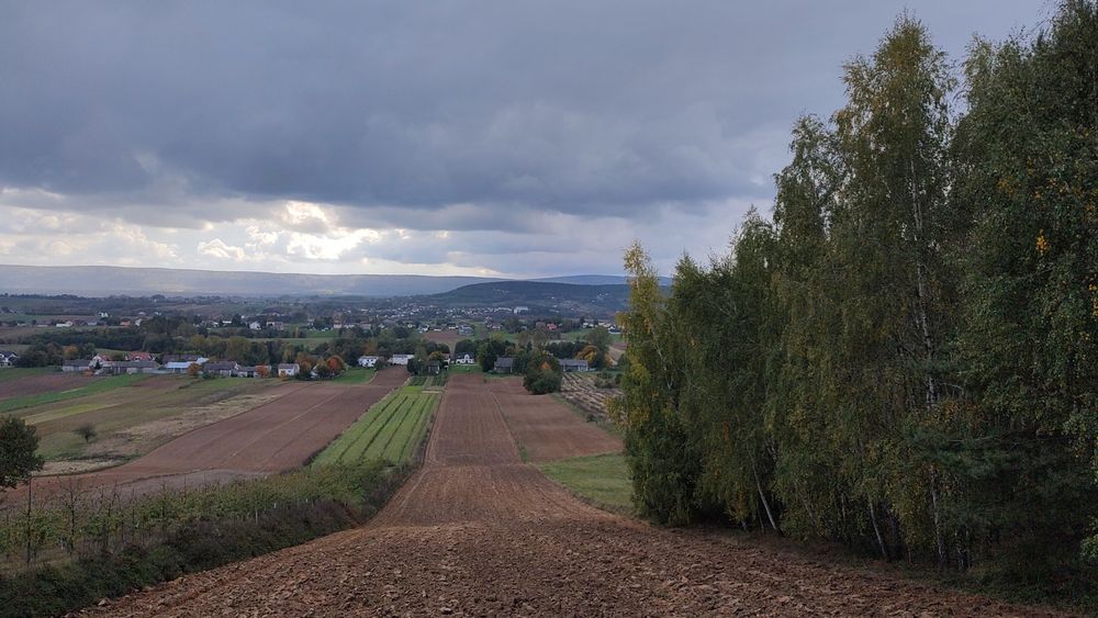 Usługi rolnicze Orka talerzowanie bijakowa glebogryzarka.