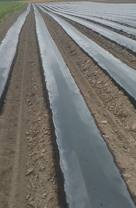 Шнековий Грядуутворювач