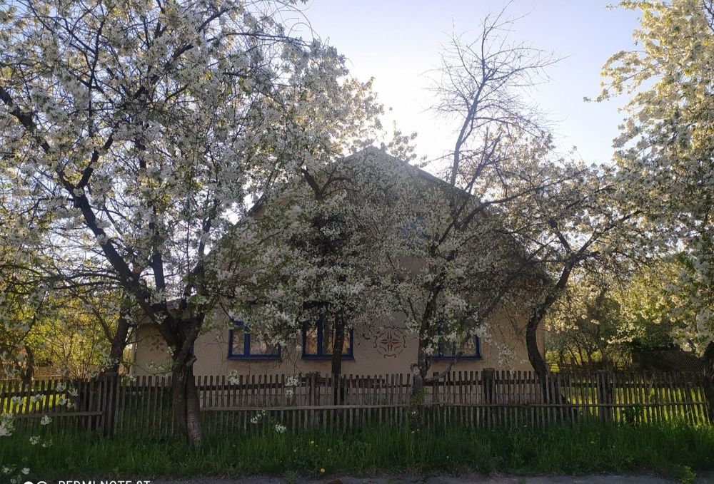 Продам будинок у с. Привороття