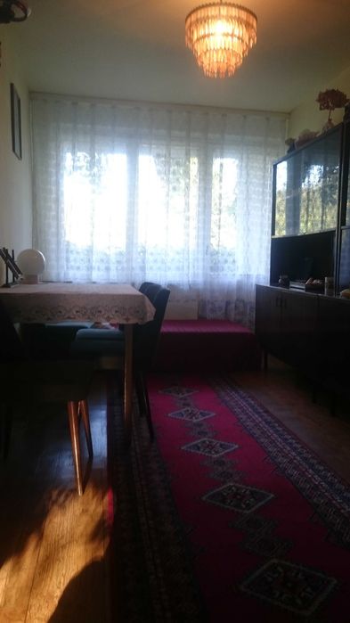 Działka ROD w Chełmnie.
