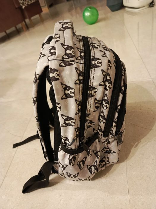 Plecak COOLPACK pies buldog francuski stan bardzo dobry