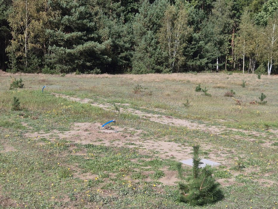 Zdjęcie 3