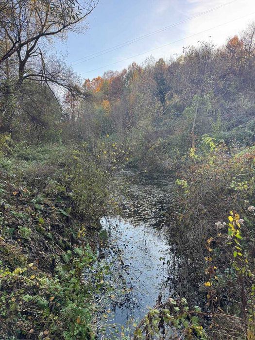 Продам унікальну ділянку зі ставком с. Грушово (Закарпаття) 0,48 га.