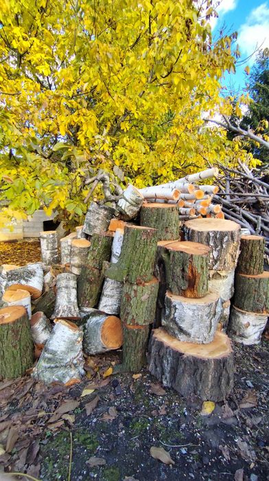 sprzedam drzewo na opał, drzewo opałowe