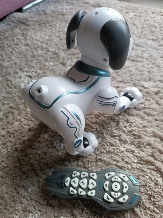 Cão Robot Zoko Speed Wheels