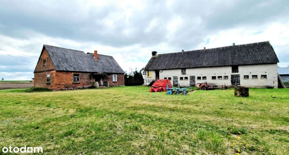 Gospodarstwo rolne, 5,7ha Jabłków gm. Kramsk - Widok 5