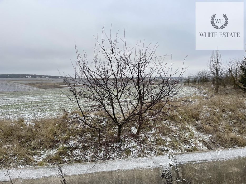 Оренда ділянки біля дороги с.Мишковичі