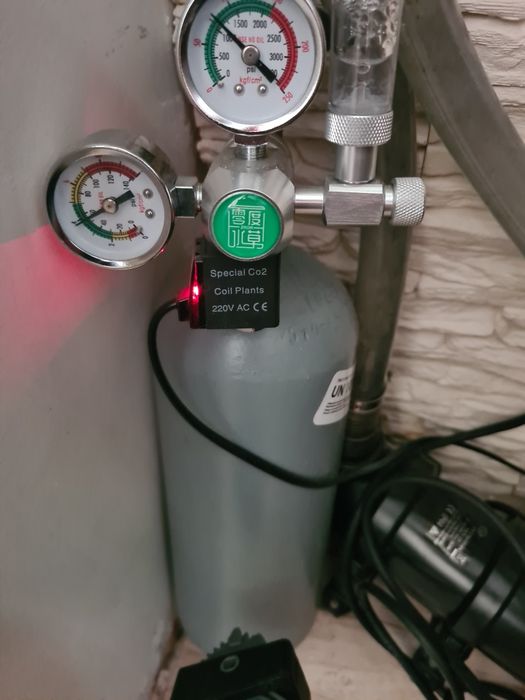 Akwarium 240l cały zestaw
