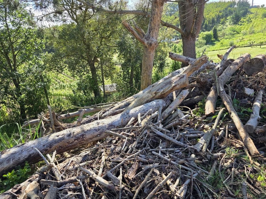 Dou lenha a quem quizer vir buscar