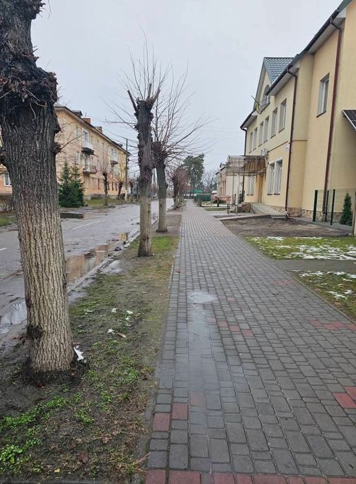 Здам приміщення в оренду у м.Соснівка