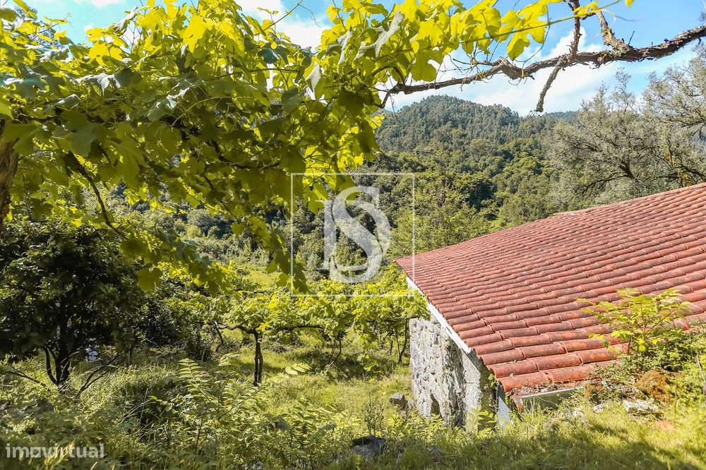 Moradia para Restaurar T2 Venda em Carvalheira,Terras de Bouro