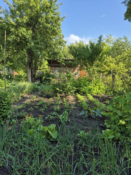 Дача в Деснянці с/т Ювілейне