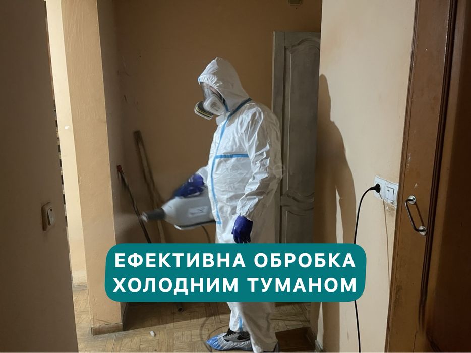 Травля тарганів клопів блох шершнів щурів мишей. Уничтожение тараканов клопов блох крыс мышей . Вытравить тараканов. Удаление плесени