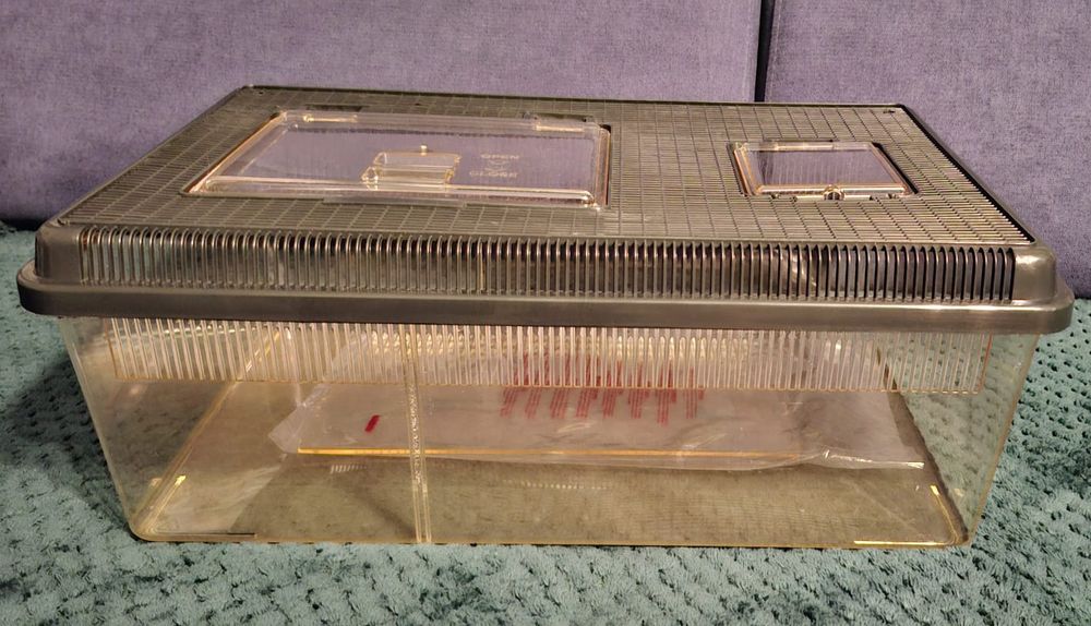 Terrarium dla węża, żółwia, jaszczurki