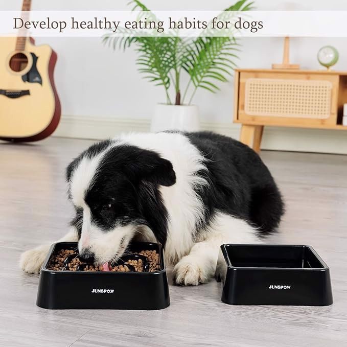 Zestaw misek dla psa spowalniająca jedzenie i wode