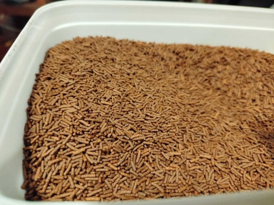 Alimentação camarões sticks