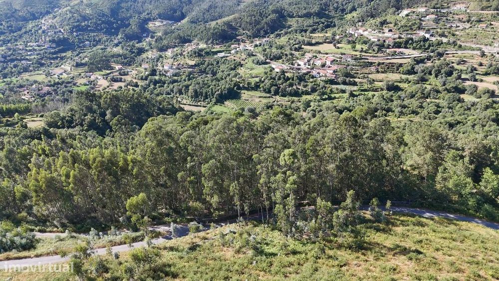 Quinta com 2 Hectares e Casa em Pedra para Recuperar em Gomide, Vila V