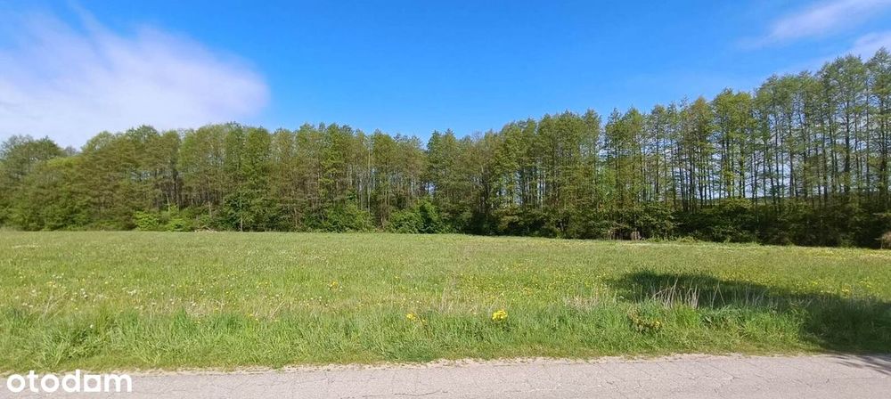 Działka rolna Bilminy i Palestyna