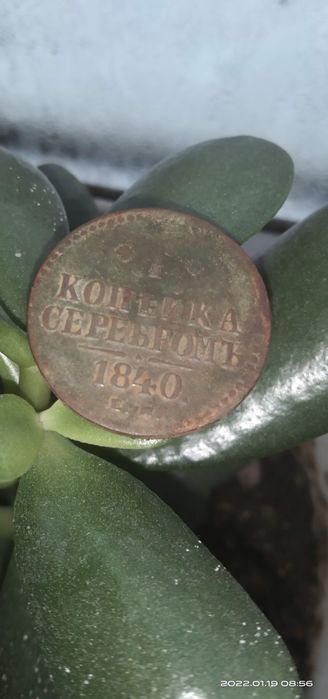 Монети старі різні