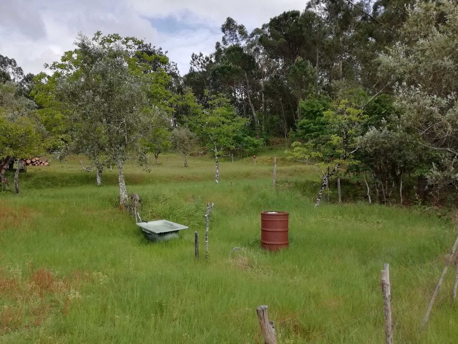 Quinta rústica bem localizada
