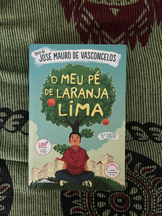 livros vários (Ler +)