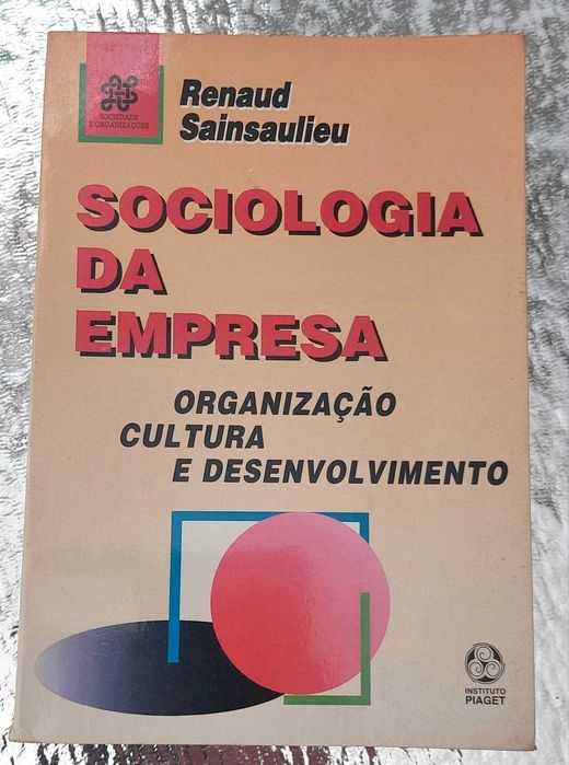Sociologia da Empresa