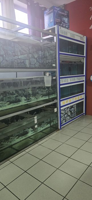 Recheio loja animais vendo em separado urgente