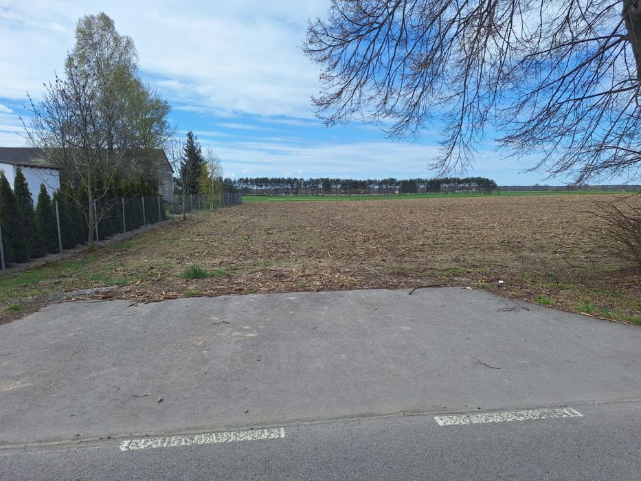 Działki Radzików Wielki blisko Autostrady A2 - 306mx73m - 2,338 ha