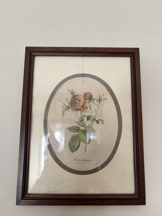 5 Quadros de parede com moldura em madeira escura