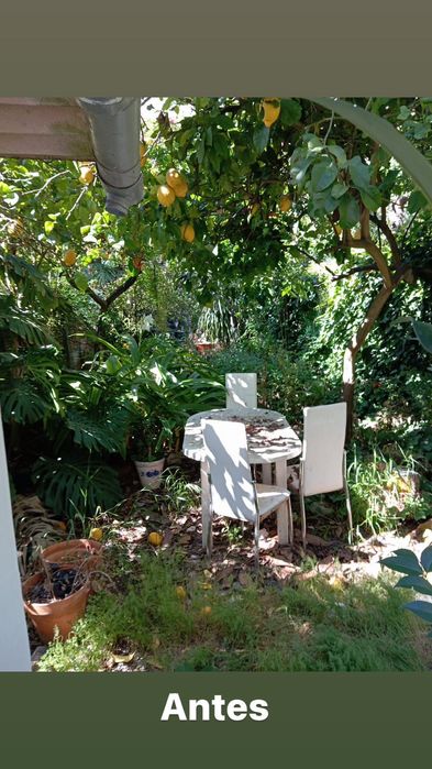 Serviço de Jardinagem