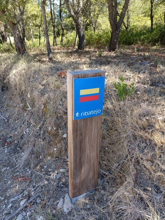 Terreno agrícola com 7040m2