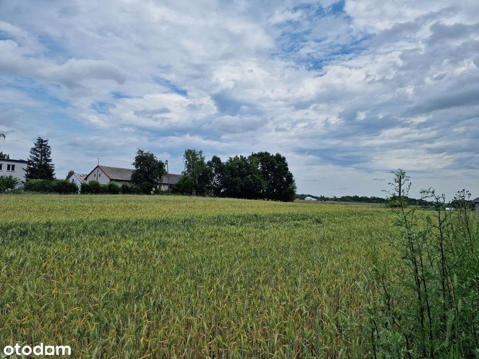 Działka budowlana 1990 m² z WZ – Przążewo, gm. Ciechanów