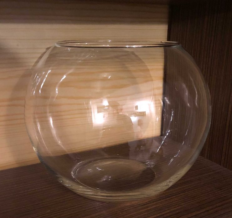 szklana kula akwarium kotnik