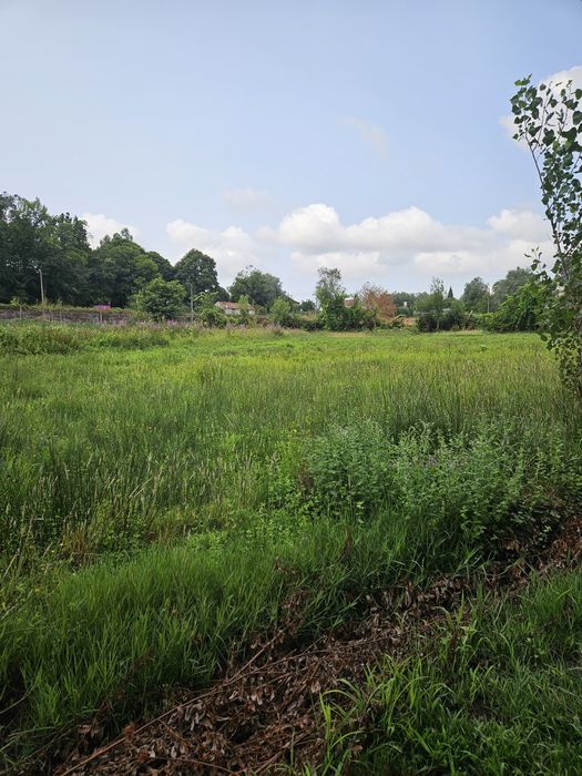 Terreno agrícola