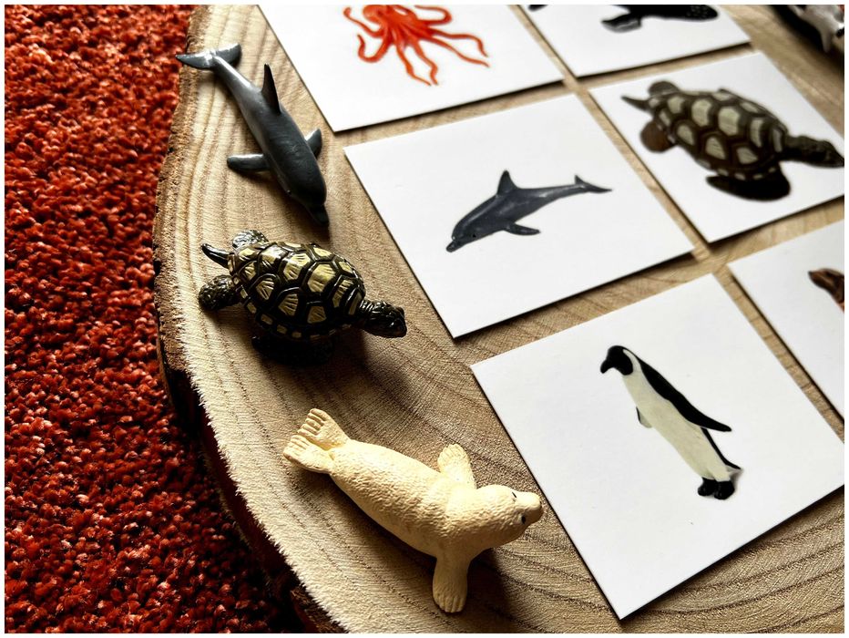 Animais Marinhos - Montessori