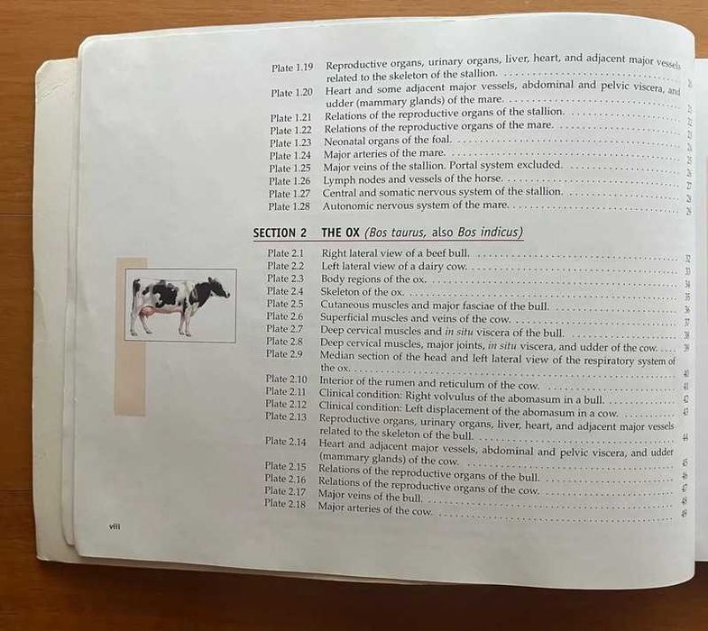 Spurgeon'S Color Atlas Of Large Animal Anatomy - The Essentials