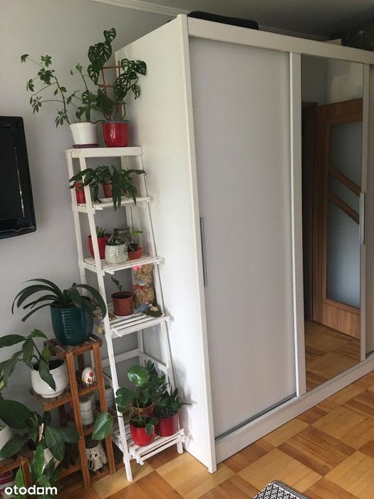 Przytulne mieszkanie nad Sanem