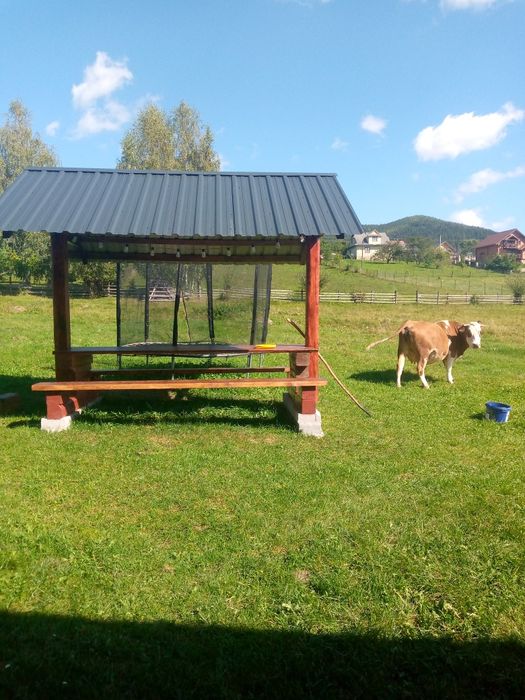 Відпочинок в Карпатах