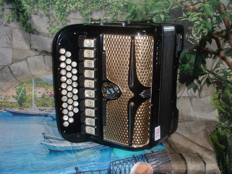 Concertina a venda n.748