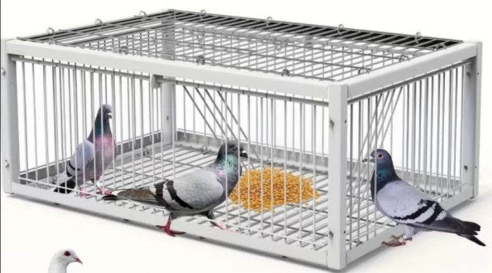 Vendo ou troco armadilha para pombos