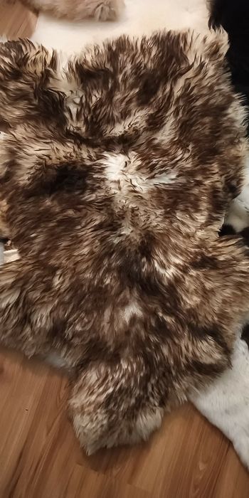 Овечі шкури з Польщі