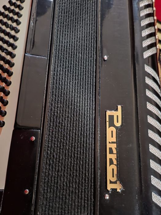Acordeon Parrot - em bom estado