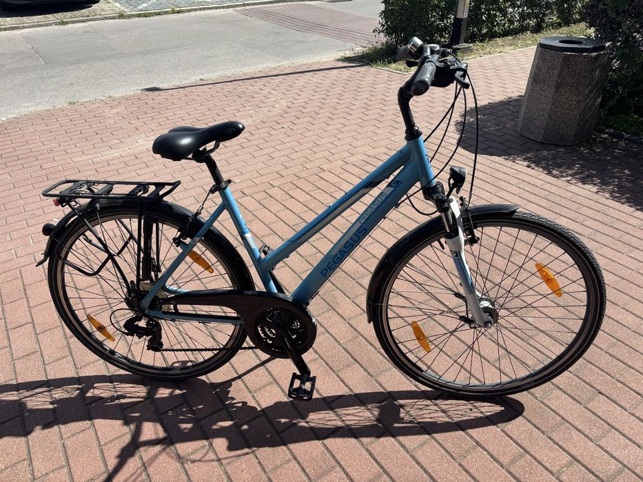 Rower Pegasus Piazza 50
