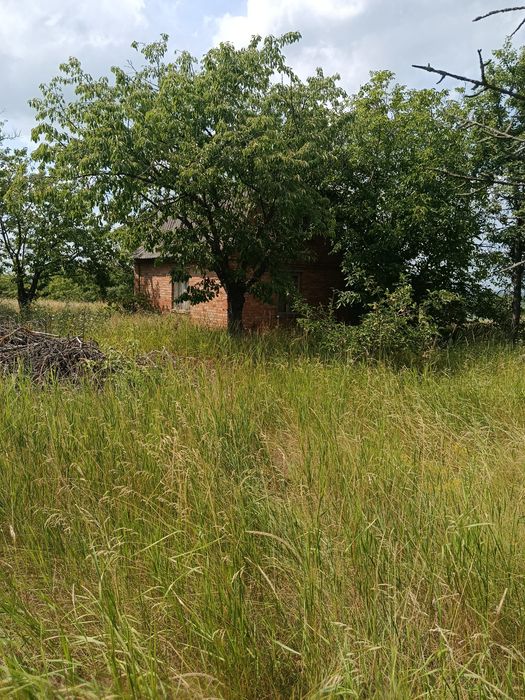 Продам земельну ділянку