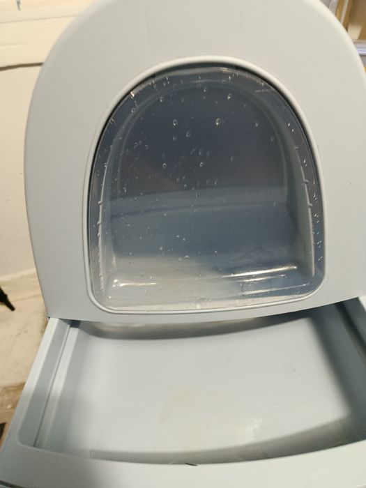 Acessórios pra gato