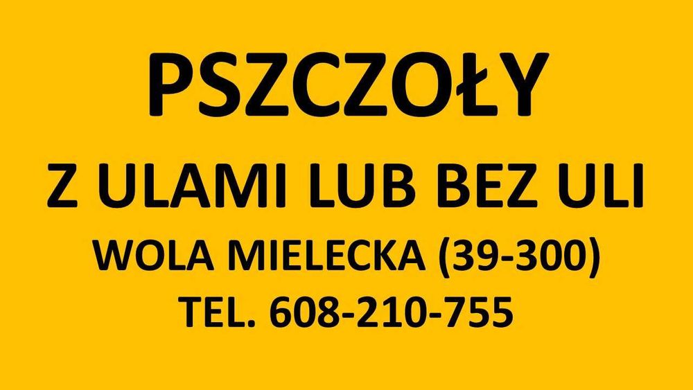 Pszczoły z ulami lub bez
